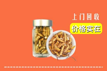 桃园市回收散虫草