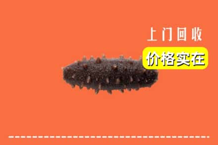 桃园市回收海参