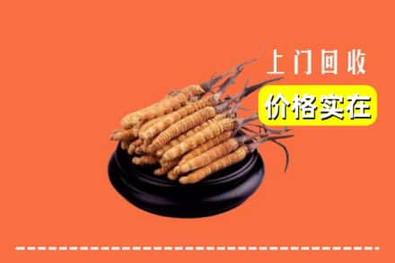 桃园市回收冬虫夏草