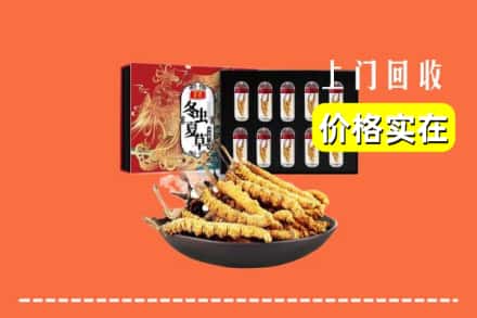 桃园市回收虫草