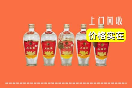 诚信求购:桃园市高价回收老五粮液